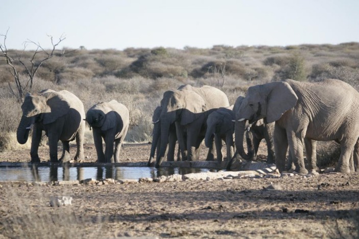 How to Motorcycle Travel on the Cheap db9b-978b-af4d