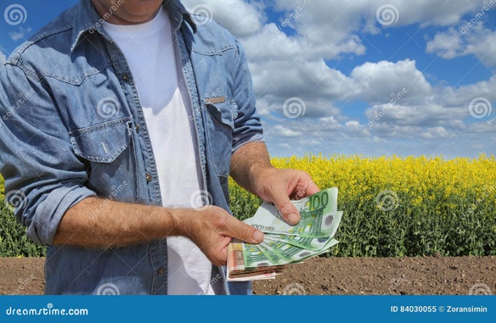 Nové Príležitosti pre Podniky: Zelené Dotácie na Cestách k Udržateľnosti 673c-a404-973f