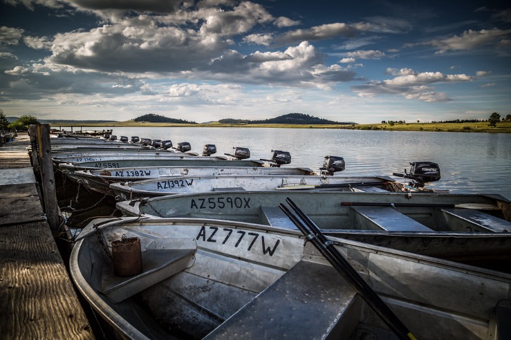 Nuomone šaudant Kaune 7c91-a913-99b7